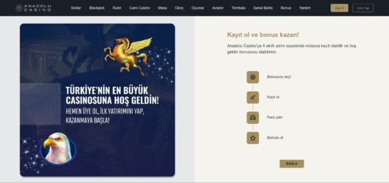 Anadolu Casino girişi