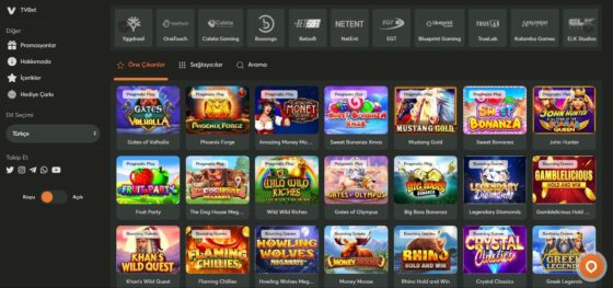 Slot makineleri Neyine Casino