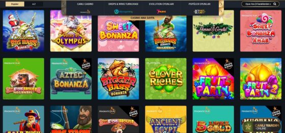 Slot makineleri PashaCasino