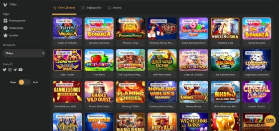 Slot makineleri VdCasino